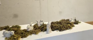 2025 dessinCopie de 30